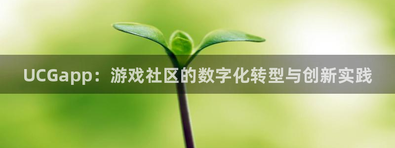 赢咖娱乐注册地址：UCGapp：游戏社区的数字化转型与创新实