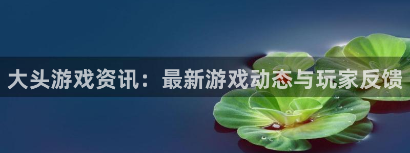 赢咖娱乐平台登录：大头游戏资讯：最新游戏动态与玩家反馈