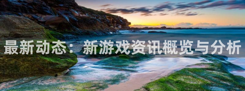 赢咖娱乐手机网页版登录：最新动态：新游戏资讯概览与分析