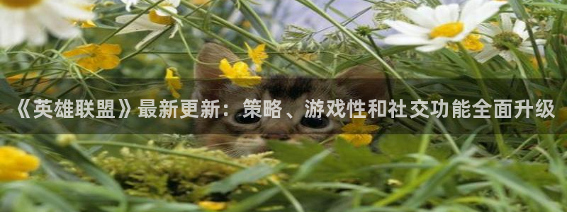 赢咖娱乐下载：《英雄联盟》最新更新：策略、游戏性和社交功能全