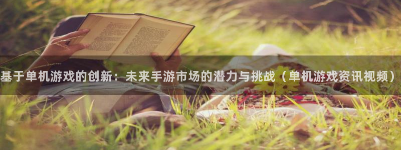 赢咖娱乐app下载：基于单机游戏的创新：未来手游市场的潜力与