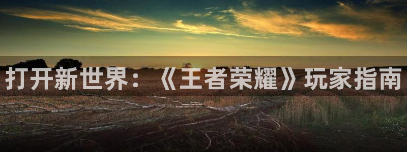 赢咖娱乐登录网址