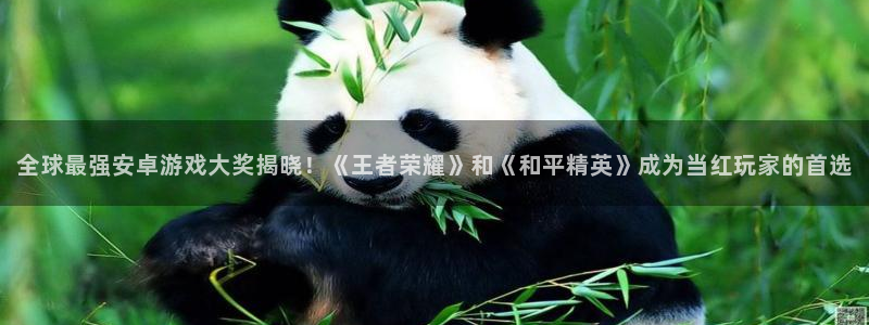 赢咖娱乐娱乐是真的吗