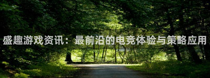 赢咖娱乐网页登录入口：盛趣游戏资讯：最前沿的电竞体验与策略应