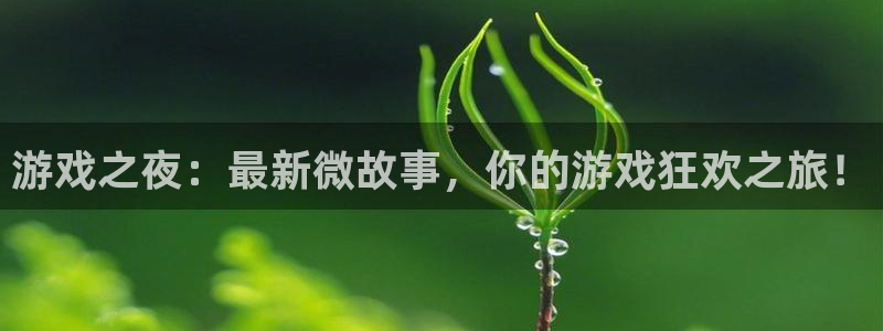 赢咖娱乐注册：游戏之夜：最新微故事，你的游戏狂欢之旅！