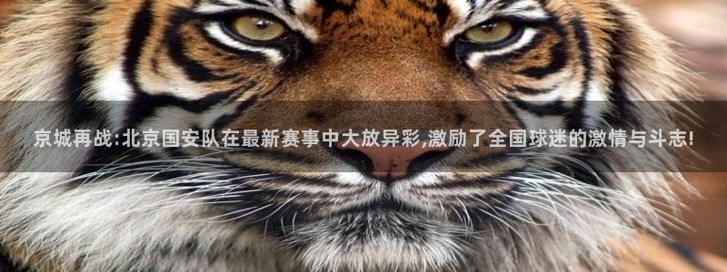 玩球体育app：京城再战:北京国安队在最新赛事中大放异彩,激励了全国球迷的激情与斗志!